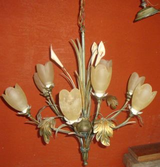 Tole Ware Chandelier Calla Lily Flower Green Gold Leaf Floral Tulip Glass Shade