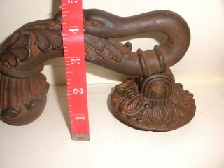 Exquisite Antique large heavy cast iron door handle swan head with ball knocker 9