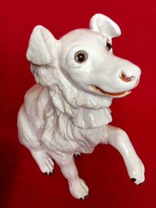 Very Rare Antique French Bavent Terracotta Large Dog With Glass Eyes Circa 1900s
