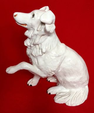 Very Rare Antique French Bavent Terracotta Large Dog With Glass Eyes Circa 1900s 3