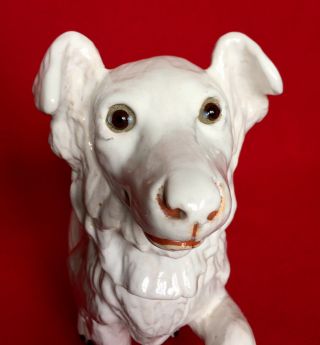 Very Rare Antique French Bavent Terracotta Large Dog With Glass Eyes Circa 1900s 5