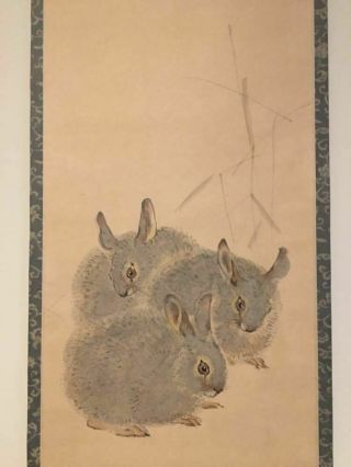 Japanese Painting Hanging Scroll Japan Rabbit Antique Vintage Picture Aged D433