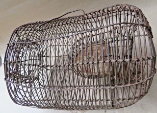 Antique RAT TRAP IRON WIRE CAGE Live MOUSE Catch CAVE SHAPE Complete Aged India 6