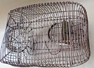 Antique RAT TRAP IRON WIRE CAGE Live MOUSE Catch CAVE SHAPE Complete Aged India 7