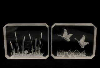 Vintage 1960s Pair Mid Century Modern Carved Wetland Nature Lucite Block Plaques