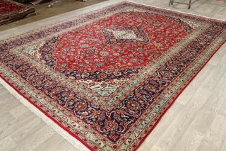 Vintage Traditional Floral Oriental Hand - Knotted 10 x 13 Red Wool Area Rug 9