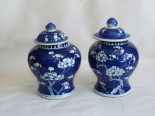 Antique Chinese Porcelain Prunus Vases & Covers.