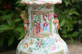 Large Antique Chinese Porcelain Hand Painted Famille Rose Vase 3