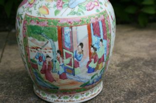 Large Antique Chinese Porcelain Hand Painted Famille Rose Vase 6