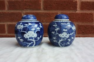 19th Century Chinese Blue And White Prunus Ginger Jars