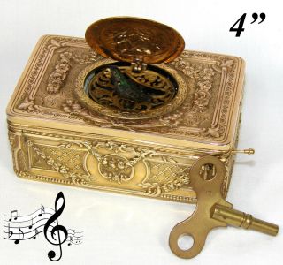 Rare Antique French Or Swiss Automaton Style Mechanical Music Box,  Bird Figure