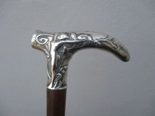 A Fine Art Nouveau Silver Top Nude Lady Walking Stick c1900 4