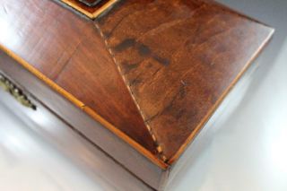 Antique 19C English Regency Mahogany Tea Caddy Box w/ Fruitwood Inlay 10