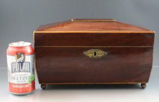 Antique 19C English Regency Mahogany Tea Caddy Box w/ Fruitwood Inlay 12