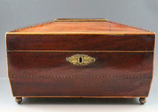 Antique 19c English Regency Mahogany Tea Caddy Box W/ Fruitwood Inlay