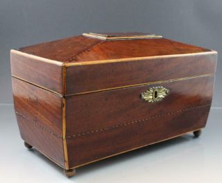 Antique 19C English Regency Mahogany Tea Caddy Box w/ Fruitwood Inlay 2