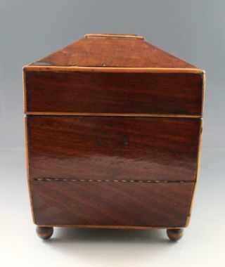 Antique 19C English Regency Mahogany Tea Caddy Box w/ Fruitwood Inlay 3