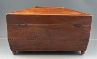 Antique 19C English Regency Mahogany Tea Caddy Box w/ Fruitwood Inlay 4