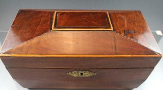 Antique 19C English Regency Mahogany Tea Caddy Box w/ Fruitwood Inlay 5