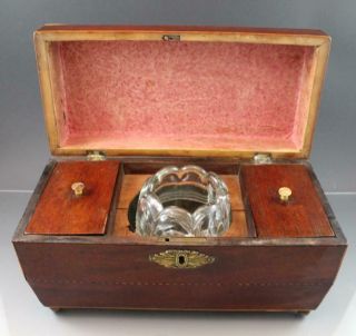 Antique 19C English Regency Mahogany Tea Caddy Box w/ Fruitwood Inlay 6
