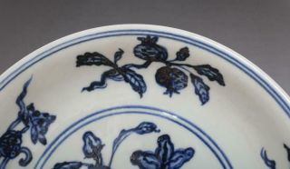 Antique Porcelain Chinese Blue and White Dish Xuande Marked - grape 2