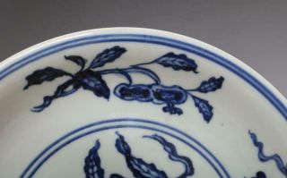 Antique Porcelain Chinese Blue and White Dish Xuande Marked - grape 4