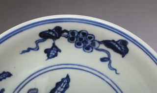 Antique Porcelain Chinese Blue and White Dish Xuande Marked - grape 5