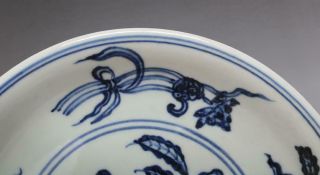 Antique Porcelain Chinese Blue and White Dish Xuande Marked - grape 6