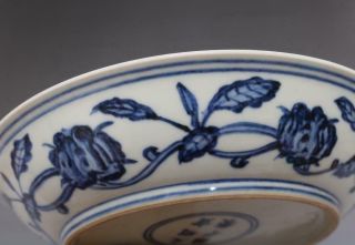 Antique Porcelain Chinese Blue and White Dish Xuande Marked - grape 7