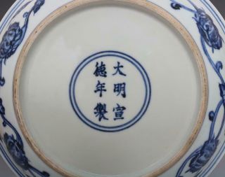 Antique Porcelain Chinese Blue and White Dish Xuande Marked - grape 9