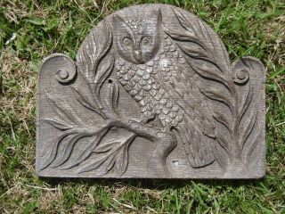 19thc GOTHIC RELIEF CARVED OAK PANEL OF OWL ON TREE 5