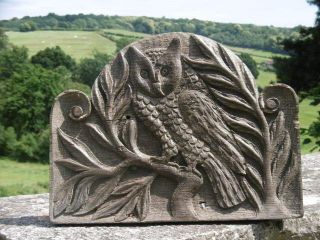 19thc GOTHIC RELIEF CARVED OAK PANEL OF OWL ON TREE 6