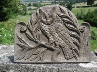 19thc GOTHIC RELIEF CARVED OAK PANEL OF OWL ON TREE 7
