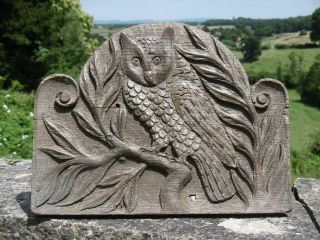 19thc GOTHIC RELIEF CARVED OAK PANEL OF OWL ON TREE 9