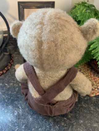 Arnetts Country Store Boy Teddy Bear 2