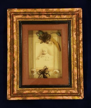 Antique Orleans Victorian Baby Mourning Memory Photo Hair Art Shadow Box