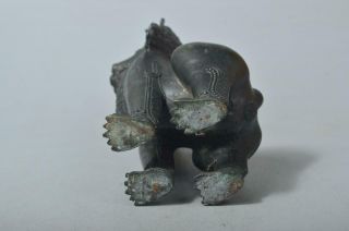 T4437: XF Chinese Copper Lion STATUE sculpture Ornament Figurines Okimono 10