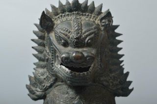 T4437: XF Chinese Copper Lion STATUE sculpture Ornament Figurines Okimono 5