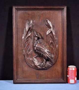 Antique French Hunting Style Carved Panel In Solid Oak Wood W/bird Salvage 2