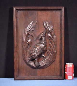 Antique French Hunting Style Carved Panel In Solid Oak Wood W/bird Salvage 1