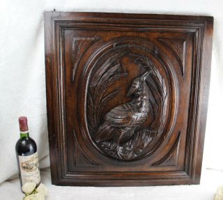 Antique Black Forest German Wood Carved Partridge Bird Hunting Door Panel No2