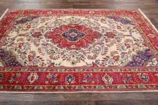 Vintage Geometric Ivory Traditional Oriental Area Rug Hand - Knotted Wool 7 