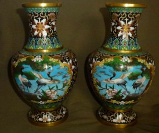 Chinese Japanese Cloisonne Vases True Facing Detail Early C20th Rare