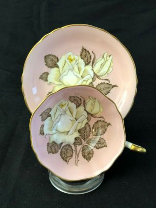 Paragon Large White Rose Pink Floral Center Double Warrant Cup & Saucer No Res.