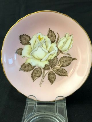 Paragon Large White Rose Pink Floral Center Double Warrant Cup & Saucer No Res. 2