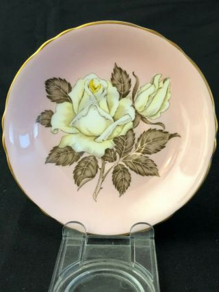 Paragon Large White Rose Pink Floral Center Double Warrant Cup & Saucer No Res. 3