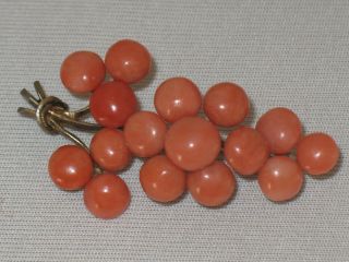 Antique Chinese Brooch 16 X Salmon Coral Ca.  1840 Wonderful Rare