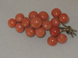 ANTIQUE CHINESE BROOCH 16 x SALMON CORAL ca.  1840 wonderful RARE 3