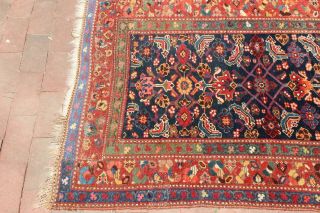 Antique Kurdish Bidjar Rug 3 ' 6  x 8 ' 4 2