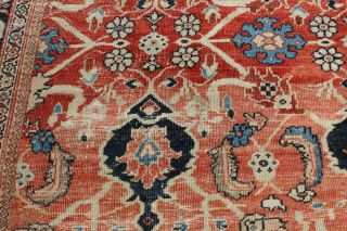 Antique 19th Century Mahal Sultanabad Rug 8 ' 5  x 11 ' 2 10